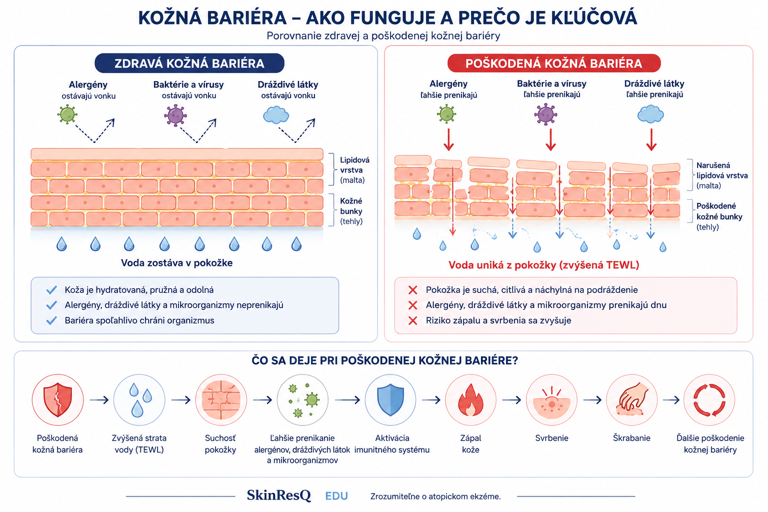 Infografika: Zdravá a poškodená kožná bariéra